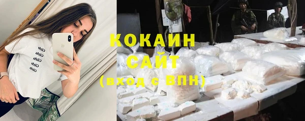 прущие крисы Новозыбков