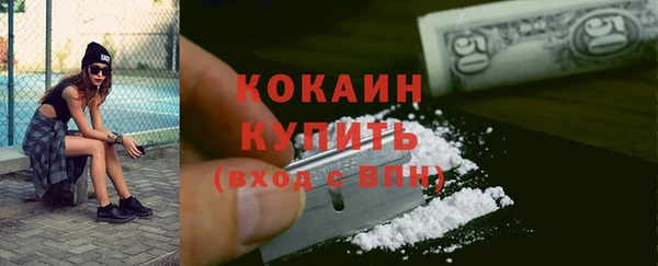 прущие крисы Новозыбков