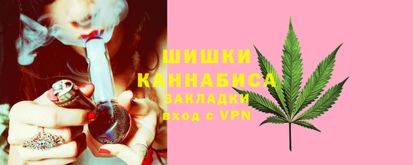 ПСИЛОЦИБИНОВЫЕ ГРИБЫ Новодвинск
